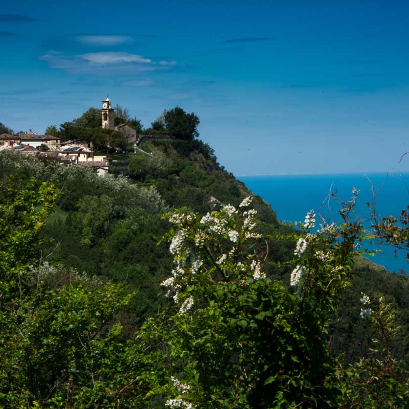 Fiorenzuola di Focara, un borgo a picco sul mare